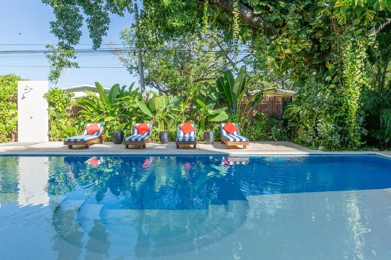 Tendenza Luxury Amazing Apartment Playa del Carmen Mexico